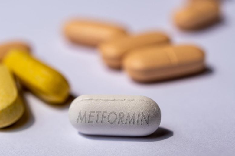 Metformin Pill Other Tablets