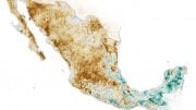 Mexico Dry Season 2021