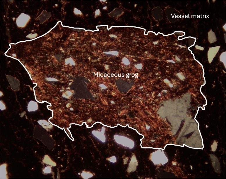 Micaceous Grog Identified in Tampa Bay Pottery