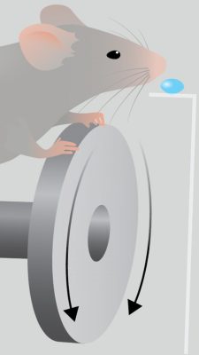 Challenging Our Views of Cognition – New Johns Hopkins Test Reveals ...