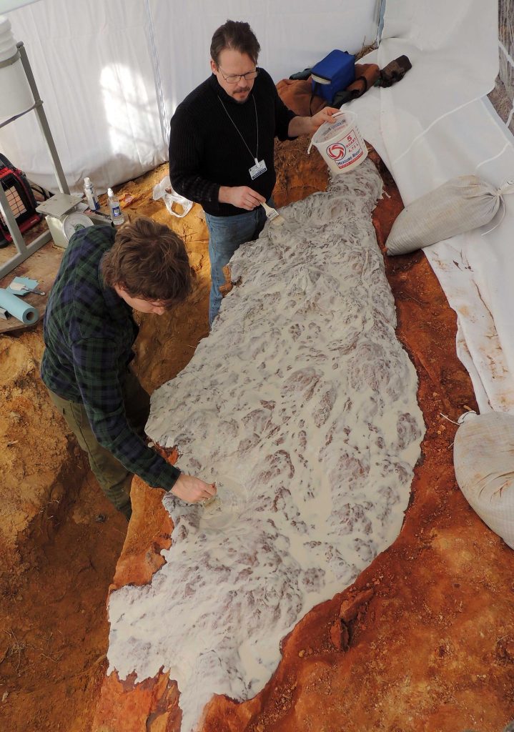 Michael Godfrey and Perry Carsley Coating Dinosaur Footprints