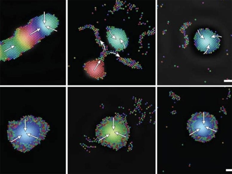 Micro-Sized Robots React to Sound