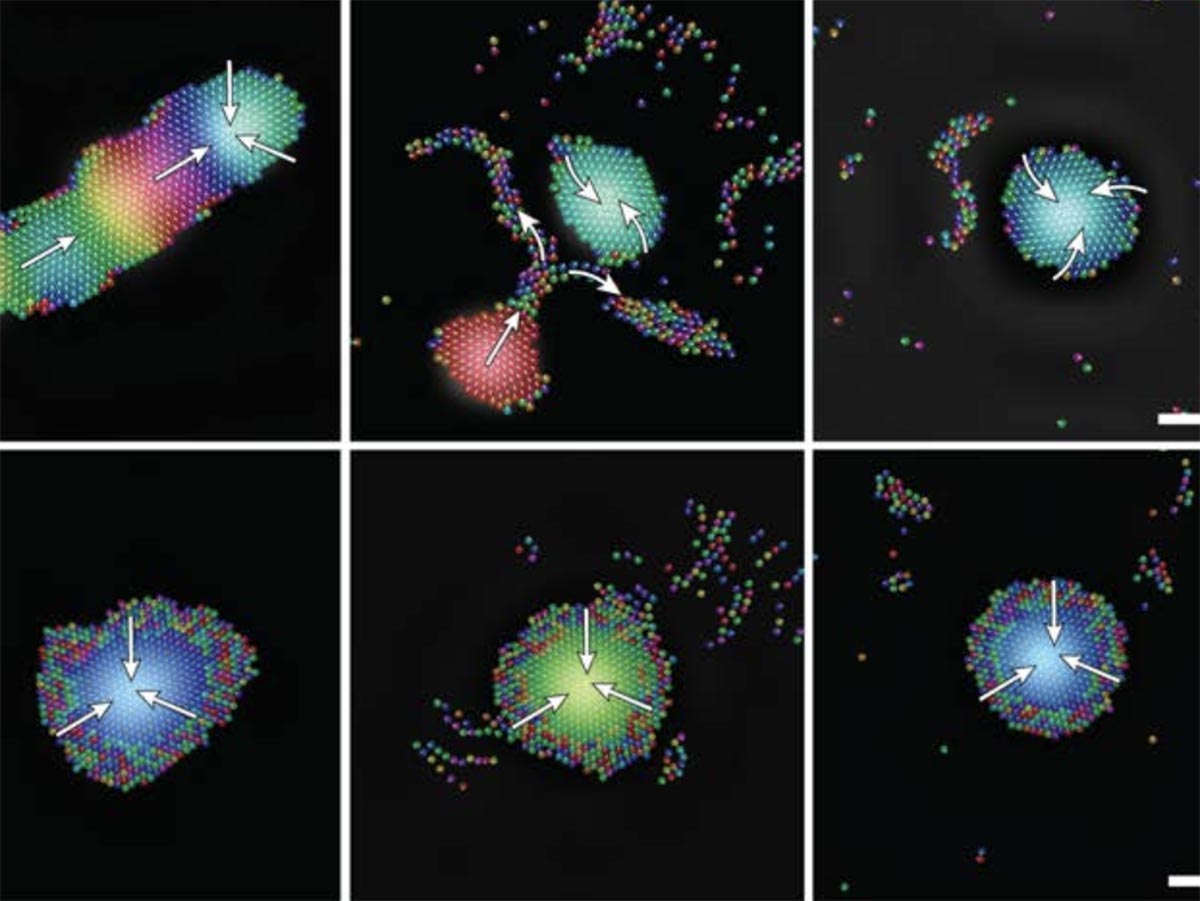 Tiny robots use sound to swarm and self-heal