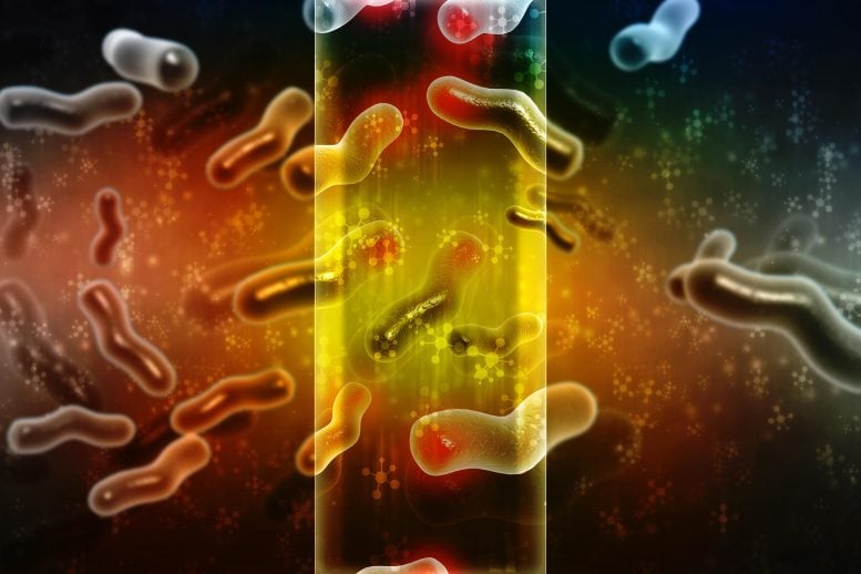 The Stunning New Push to Protect the Invisible 99% of Life