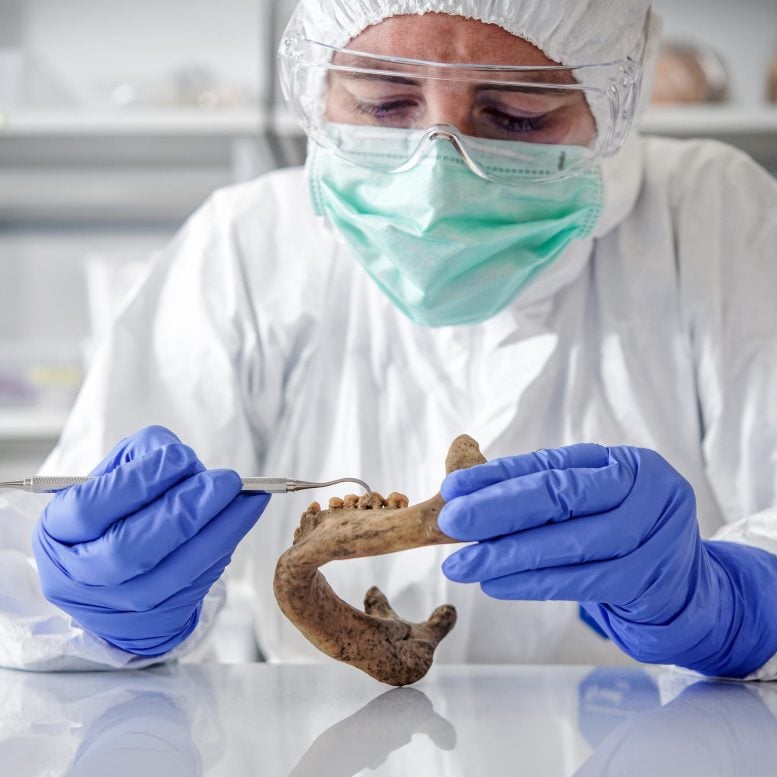 Microbial DNA Is Extracted From Ancient Dental Calculus
