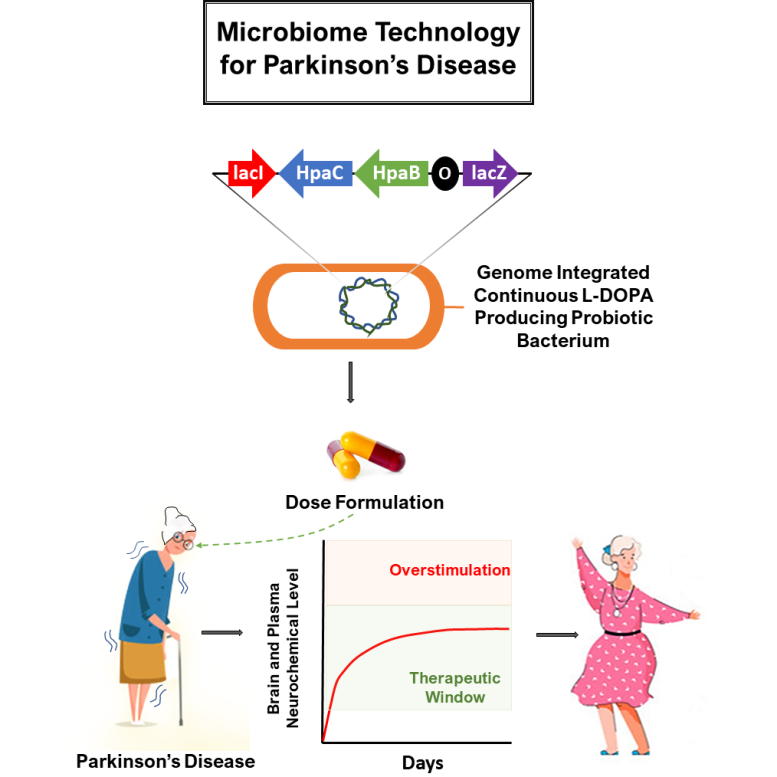 Microbiome Based Therapeutic for Parkinson’s Disease