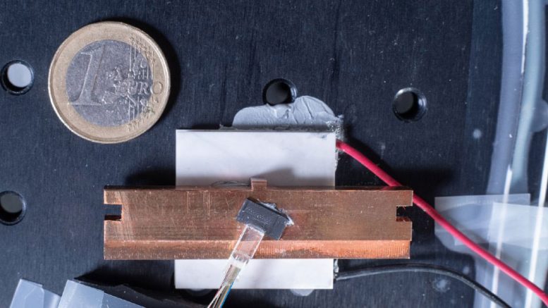 Microcomb Chip Beside One Euro Coin