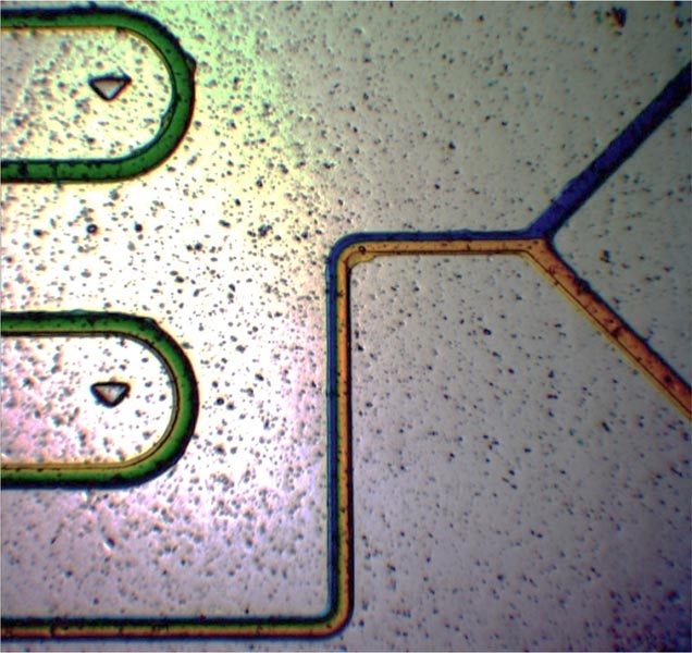 Microfluidic Chip Close Up