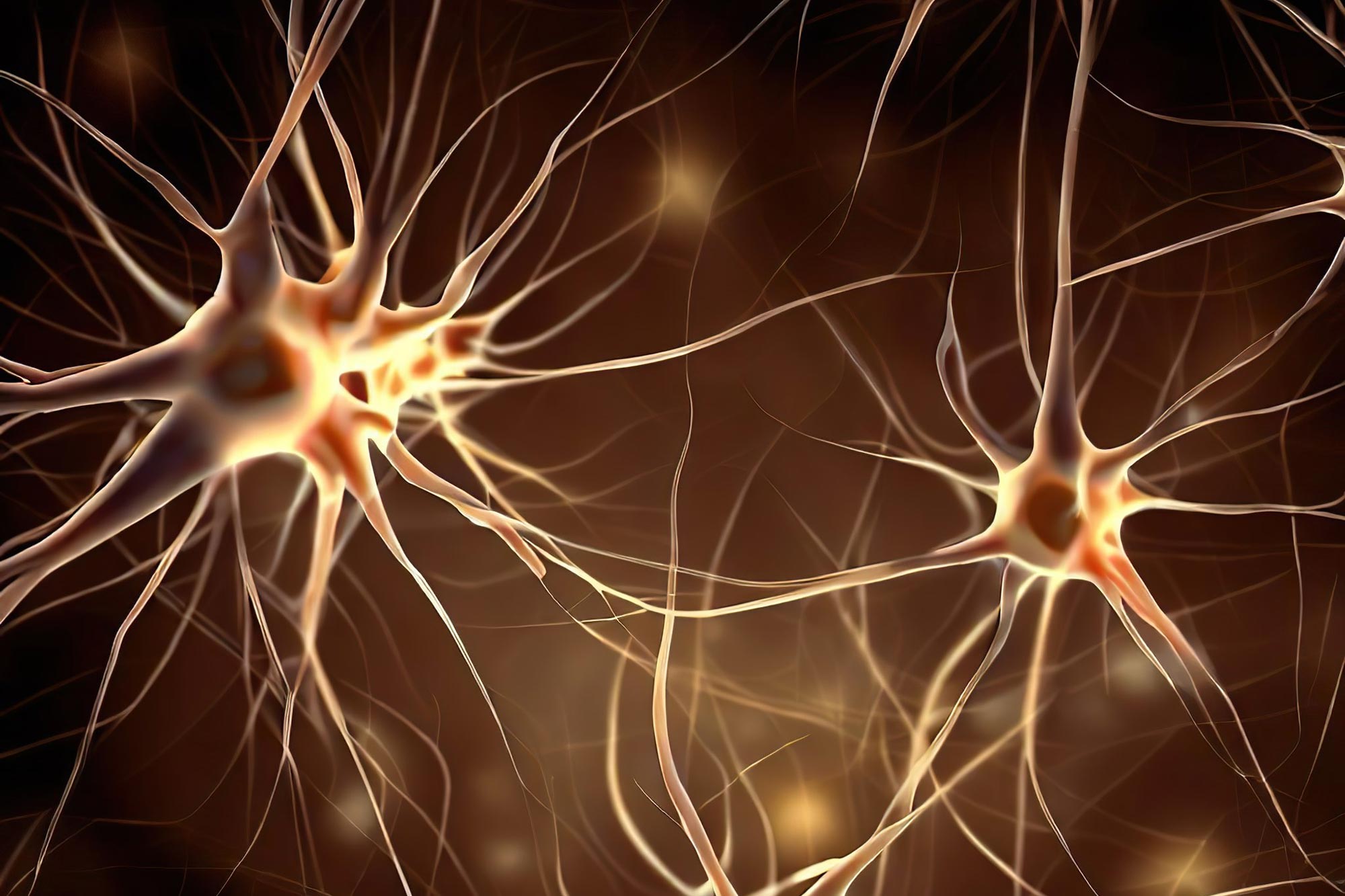 Ανακαλύφθηκε ένας νέος εγκεφαλικός μηχανισμός που συνδέεται με το άγχος και την ιδεοψυχαναγκαστική διαταραχή