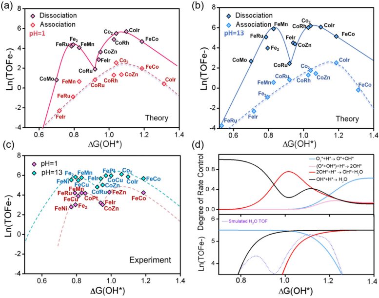 Microkinetic ORR Volcano Models of M1M2 N C DACs