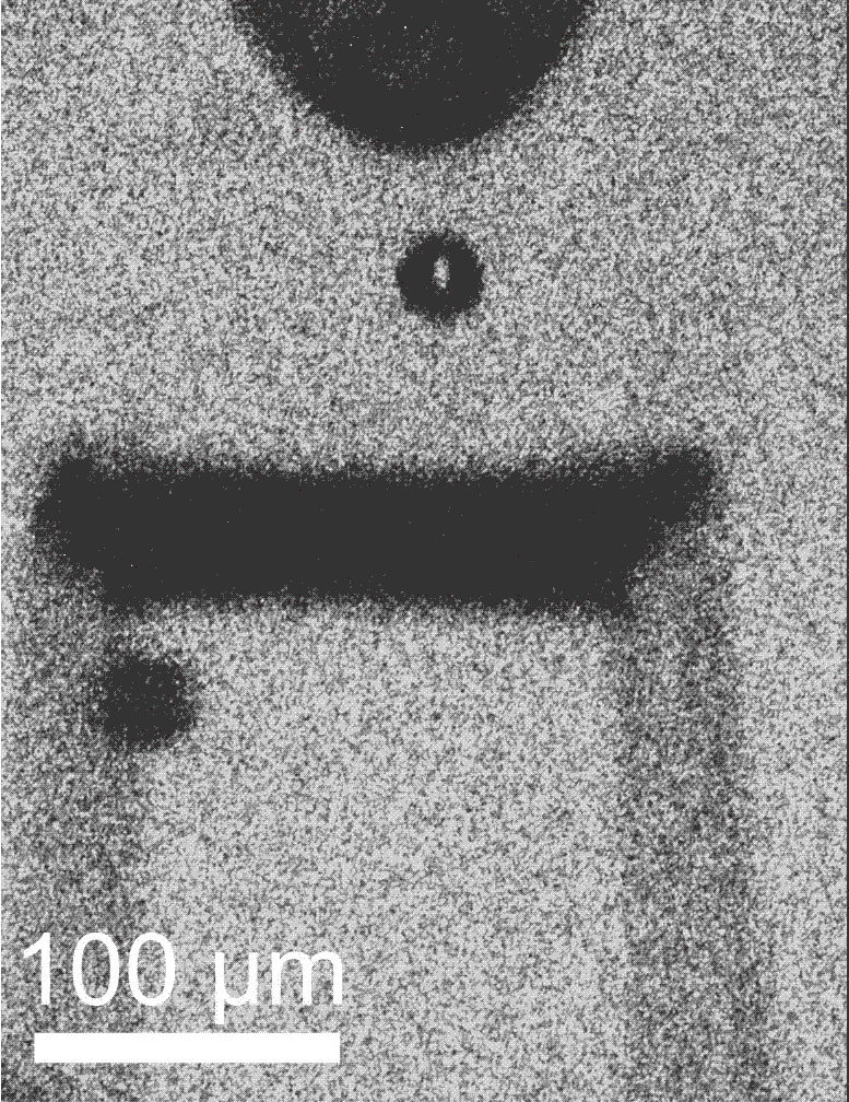Microparticle Fired Through Precisely Architected Metamaterial