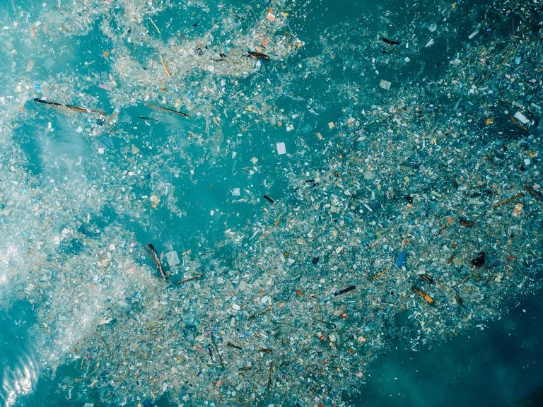 Oceans Are Struggling To Absorb Carbon As Microplastics Flood Their Waters