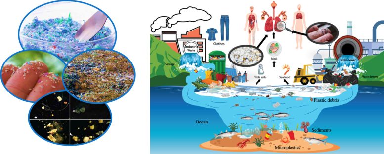 Microplastic Pollution and Impacts on Health