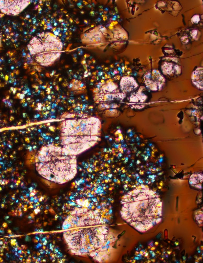 Microscope Image Glass, Large Garnets, and Other Small Mineral Crystals