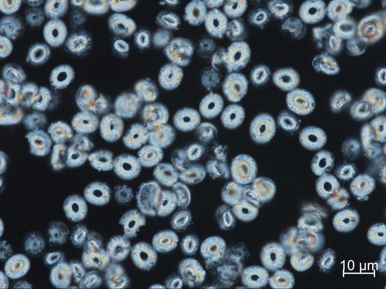 Scientists Rethink Extreme Warming After Surprising Ocean Discovery