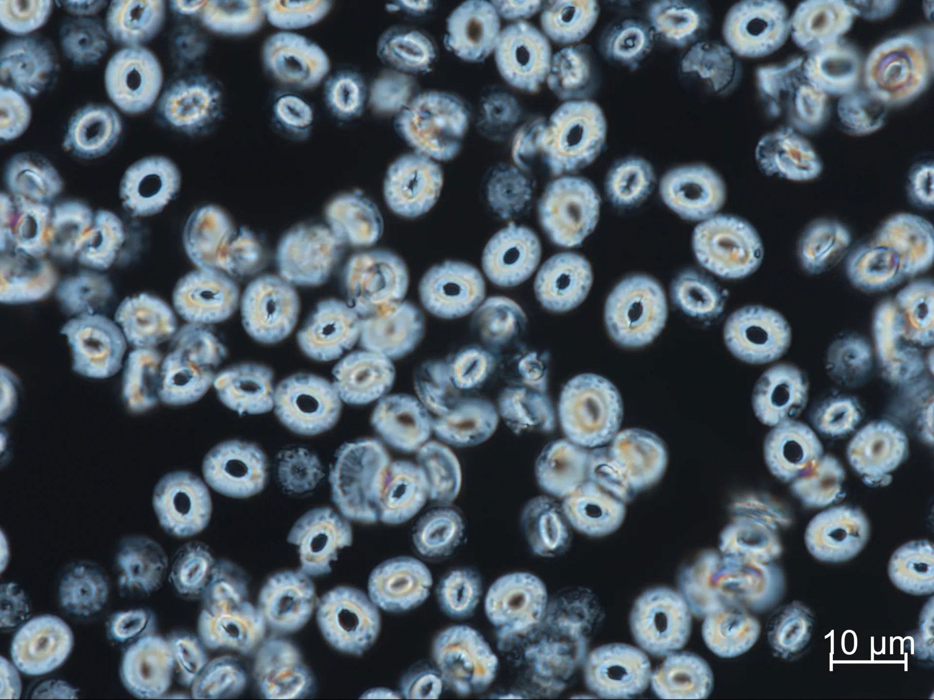 Scientists Rethink Extreme Warming After Surprising Ocean Discovery