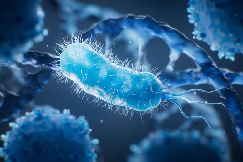 Microscopic Bacteria DNA