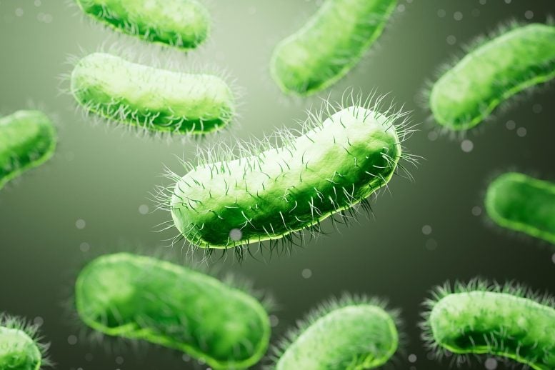 Microscopic Biomedical Bacteria Structure