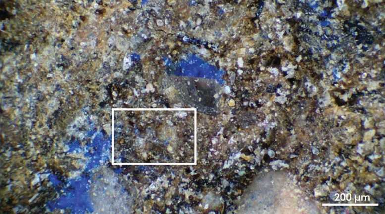 Microscopic Image of Nano Sized Specks of Blue Residue