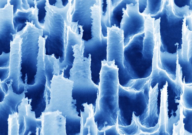 Microscopic Silicon Spikes