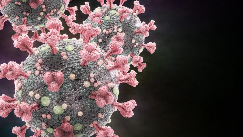 Microscopic View of Coronavirus