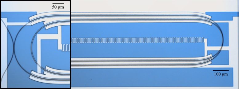 Microwave Optical Quantum Transducer Optical Micrograph