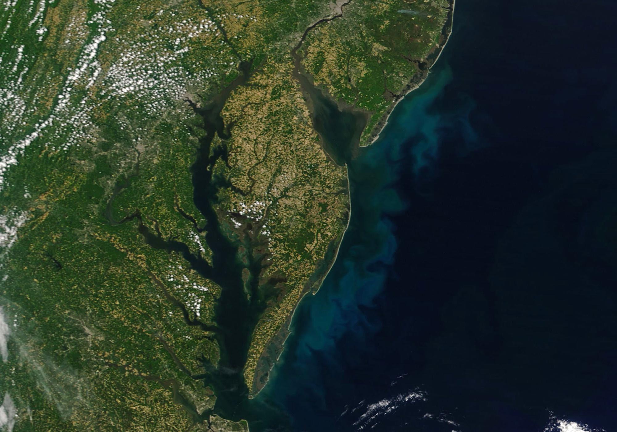 NASA Satellite Captures Stunning Mid-Atlantic Phytoplankton Bloom
