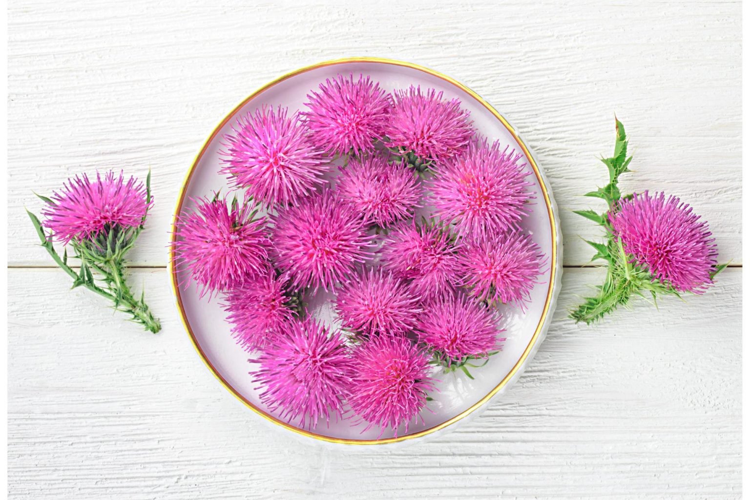 Top 7 Benefits of Milk Thistle Backed by Science