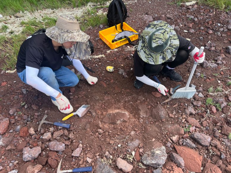 Minguk Kim and Hyemin Jo Excavating Fossil