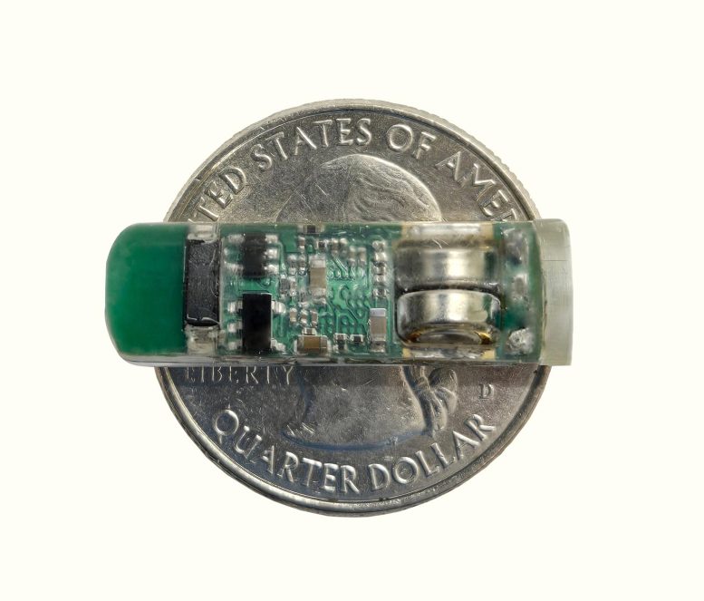 Miniature PillTrek Smart Capsule Shown Next to U.S. Quarter