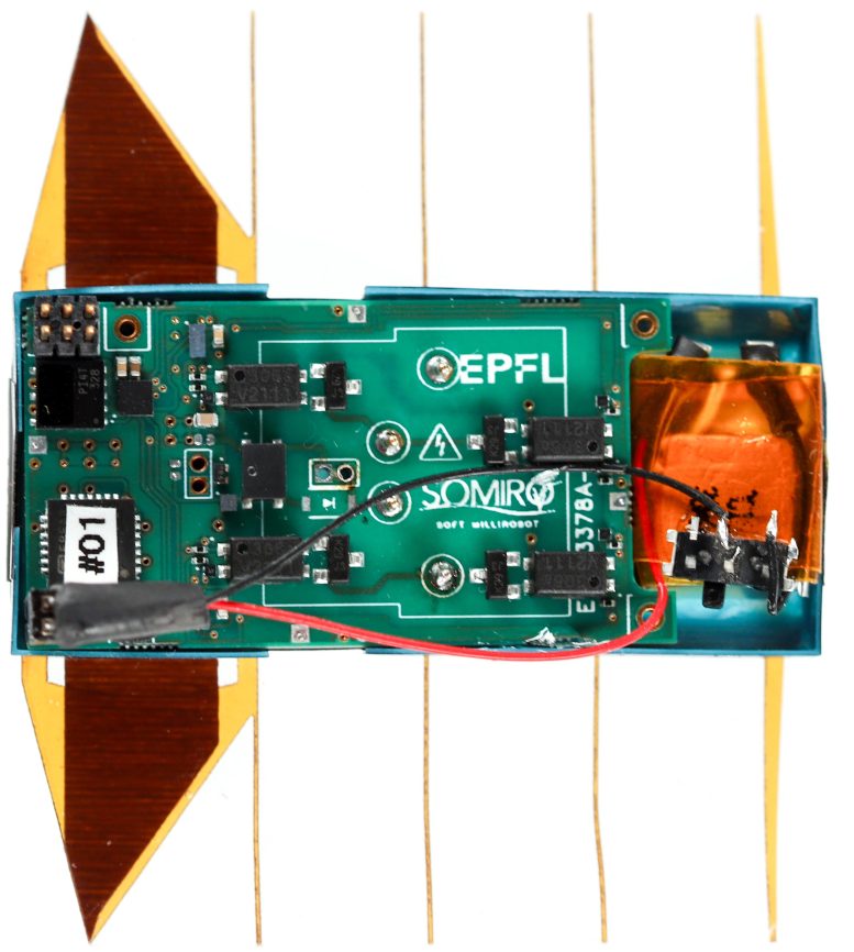 Miniature Swimming Robot