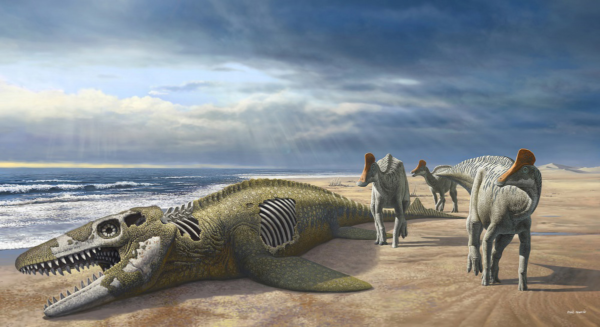 “Sekali dalam Sejuta Tahun” – Para ilmuwan menemukan fosil aneh dinosaurus berparuh bebek di Maroko