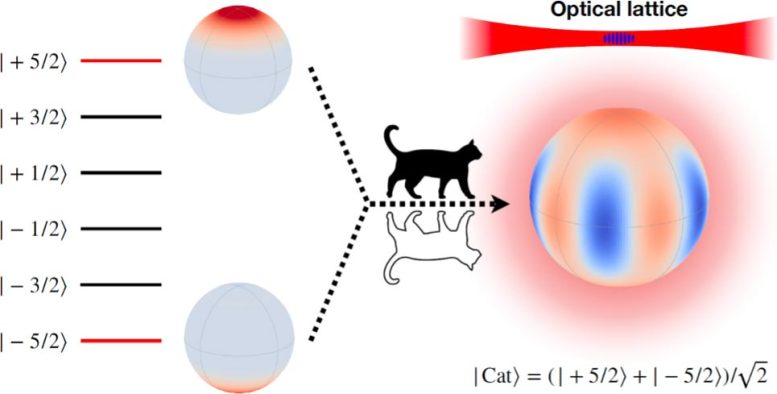Minute Scale Schrödinger Cat State of Spin 5 2 Atoms