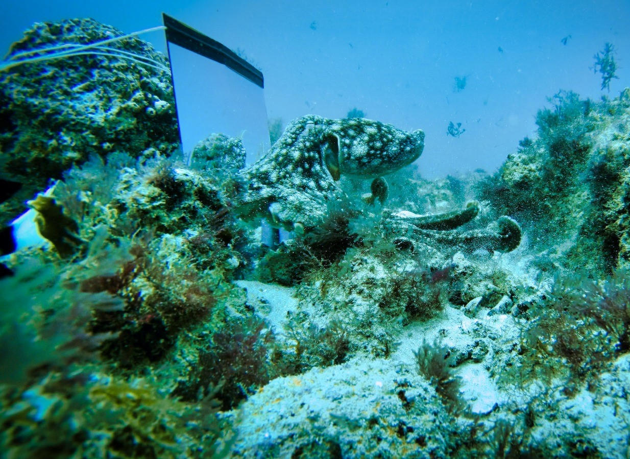 What Would Darwin Discover Today?