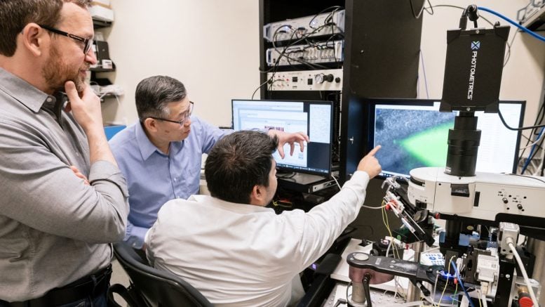 Misha Zilberter, Yadong Huang, and Dennis Tabuena