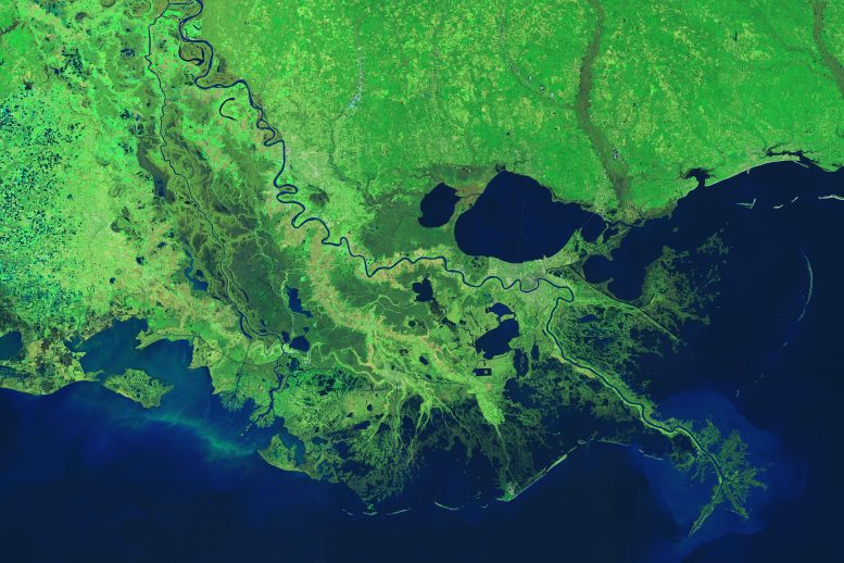 Mississippi River Delta Satellite Image