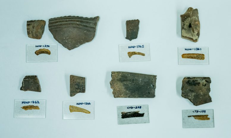 Mississippian Pottery Fragments Analyzed for Their Origins