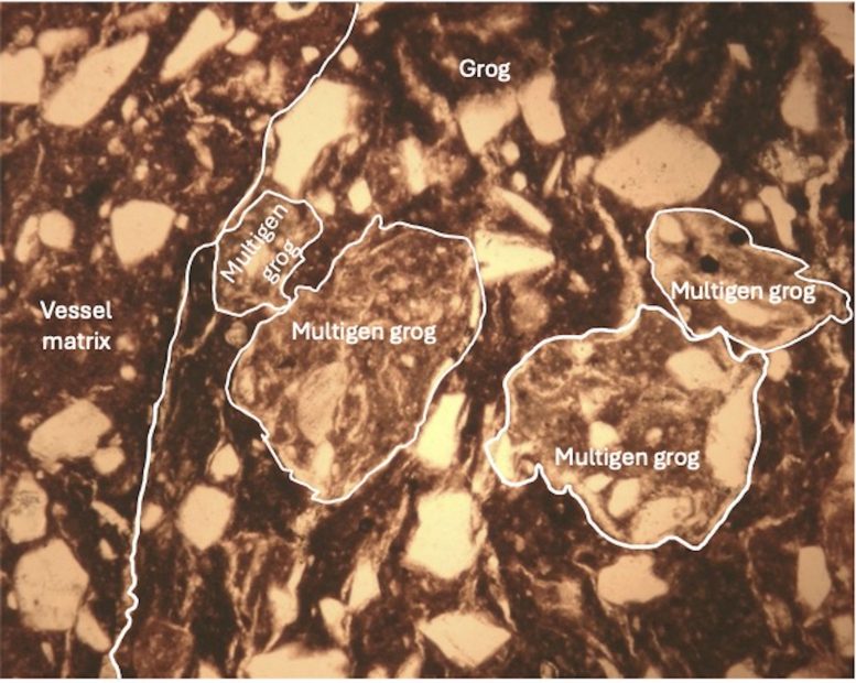 Mississippian Pottery Grog Embedded in Tampa Bay Vessel