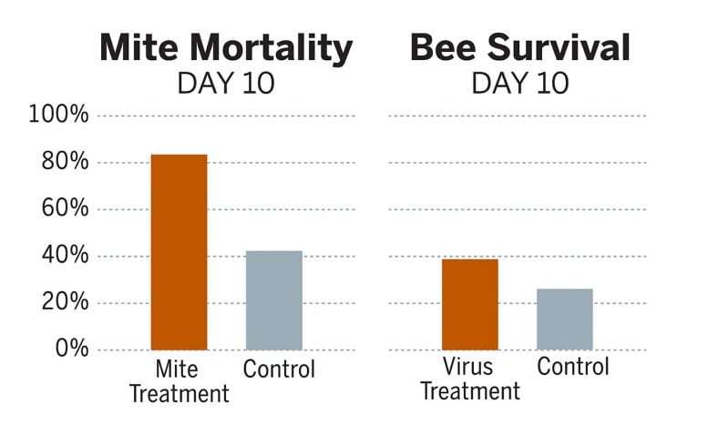Mite Mortality and Bee Survival Chart