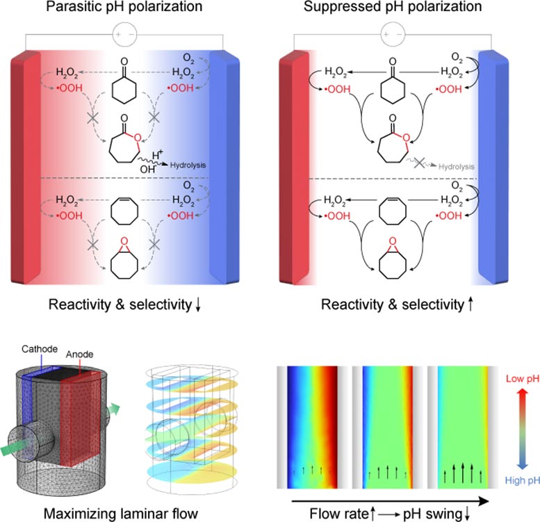 Mitigation of Local pH Deviations Through Reactor Design