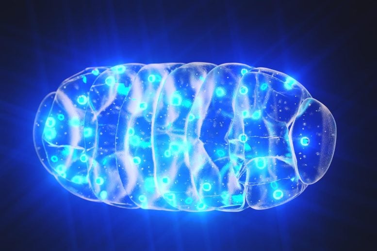 Mitochondria Blue Glow