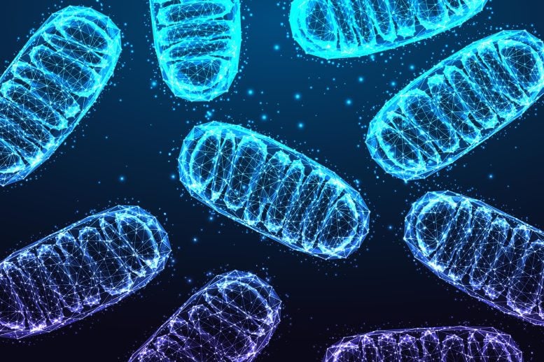 Researchers Discover New Kind of DNA Damage Hidden Inside Mitochondria
