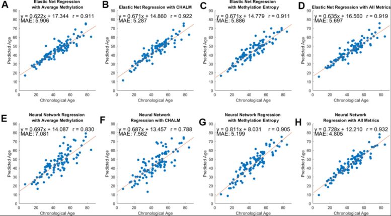 Model Performance Across Three Methylation Metrics and Two Regression Methods
