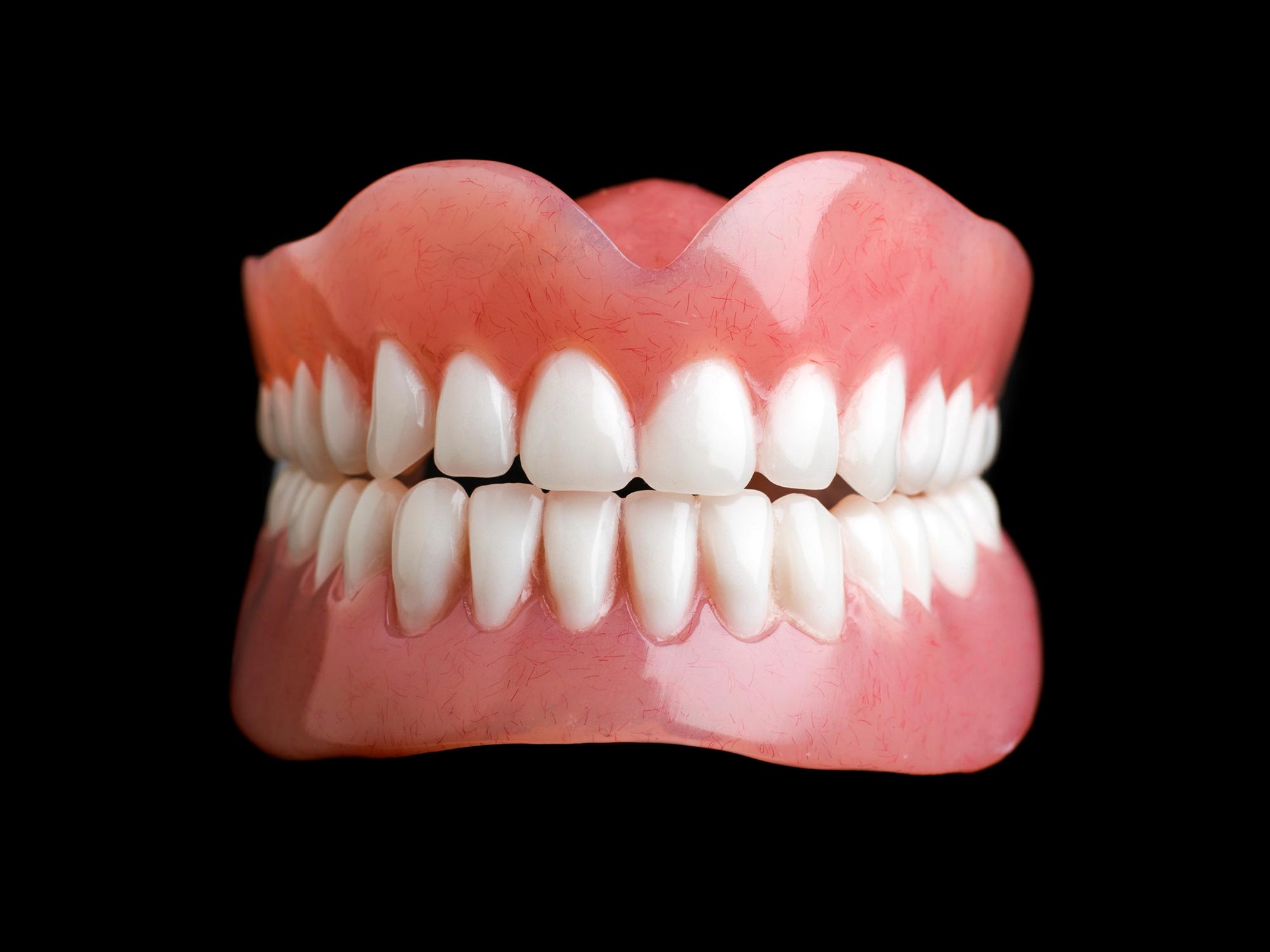 Model of Human Teeth