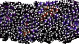 Modeling Electron Excitation in Organic Photovoltaic Materials
