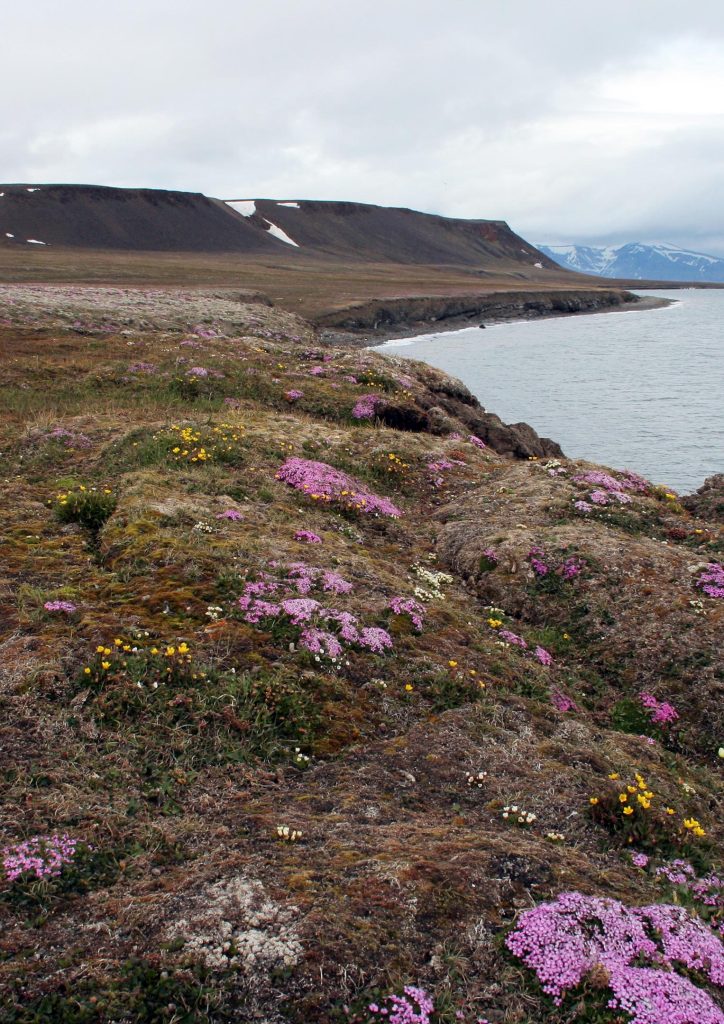 Cuadro moderno del paisaje ártico