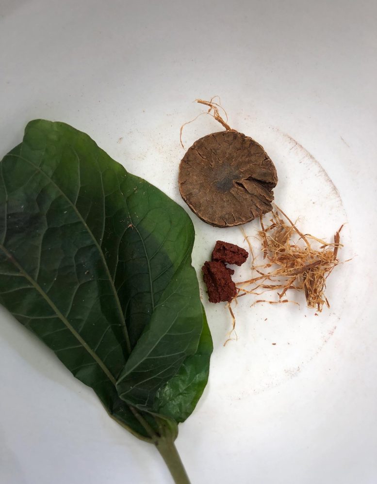 Modern Betel Quid Ingredients