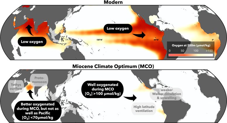 Modern and Ancient Oxygenation Map