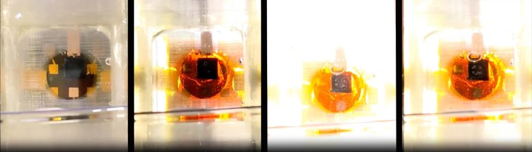 Video tĩnh về lò phản ứng quang học của nhóm nghiên cứu Mohite