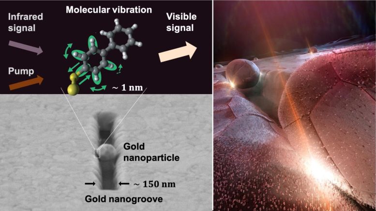 Molecular Device Turns Infrared Into Visible Light
